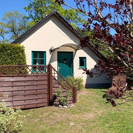 „Rentmeisterhaus Basedow“ Basedow  Luaran gambar