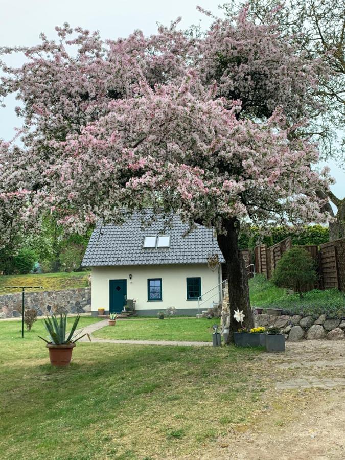 „Rentmeisterhaus Basedow“ Basedow  Luaran gambar