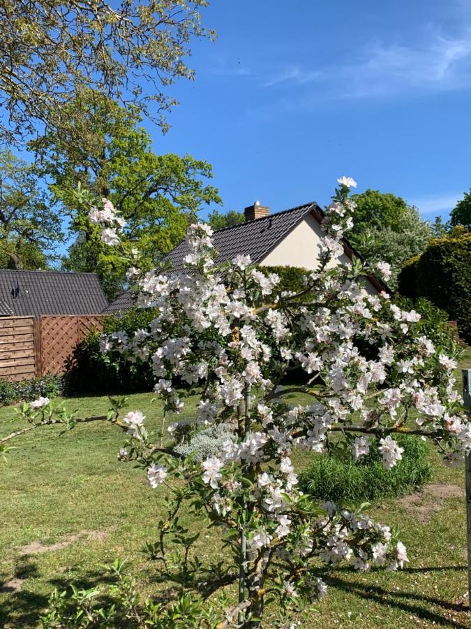 „Rentmeisterhaus Basedow“ Basedow  Luaran gambar